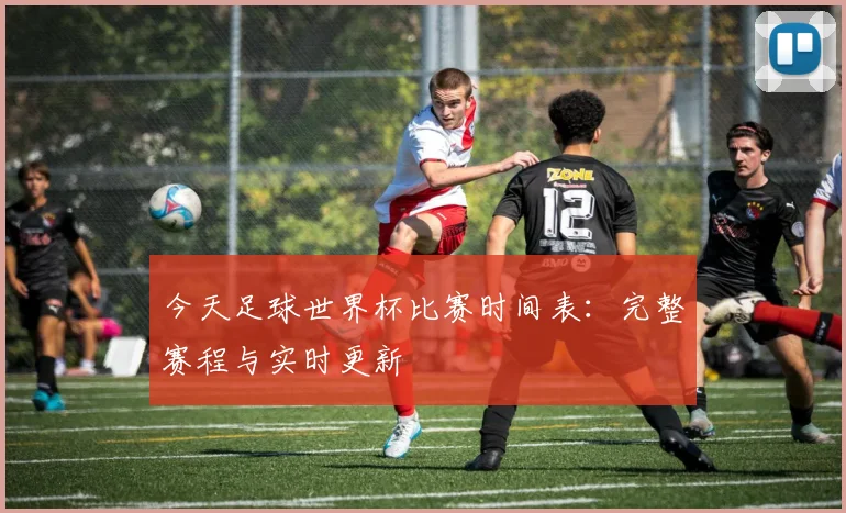 今天足球世界杯比赛时间表：完整赛程与实时更新